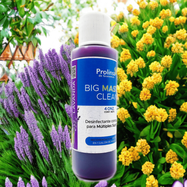Big Master Clean Lavanda