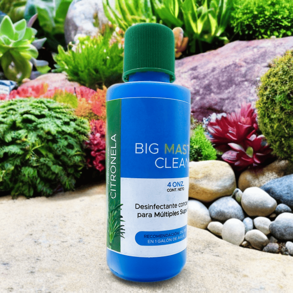 Big Master Clean Citronela